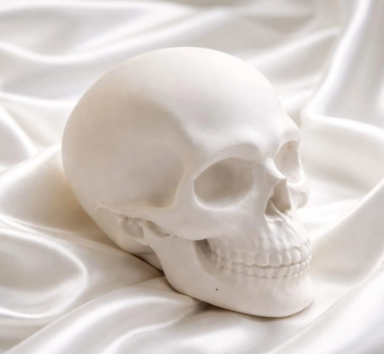 The Perfectly Imperfect Skull Painting Kit