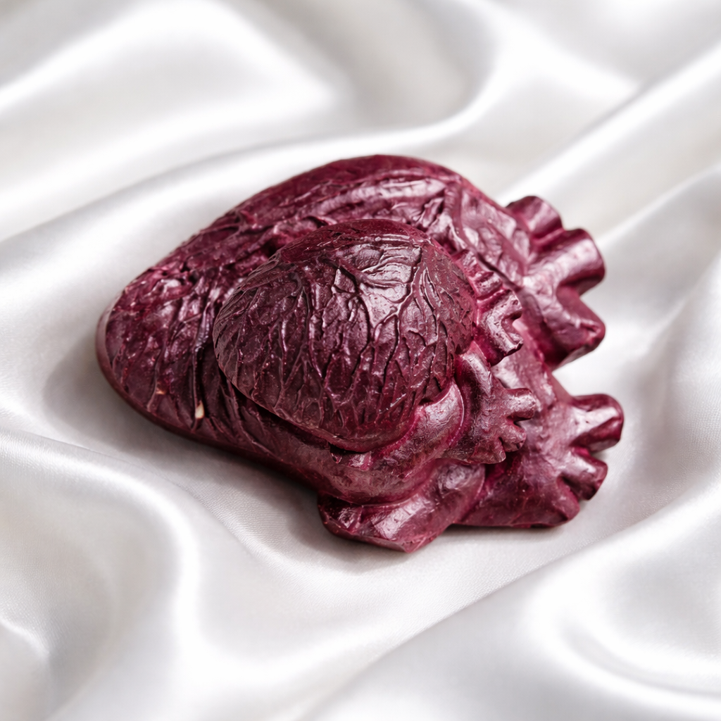 Anatomical Heart Magnets