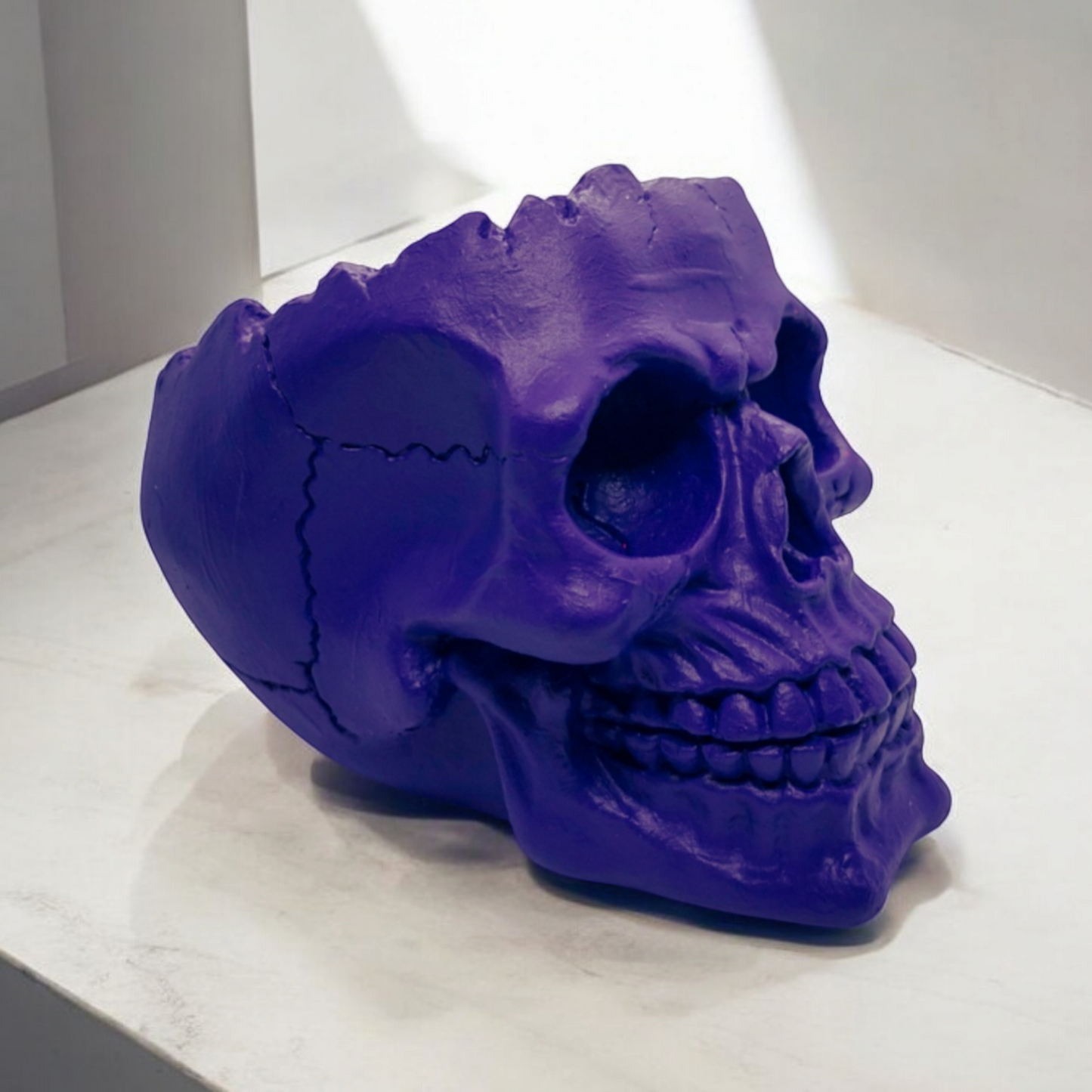 Decorative Skull Shaped Brush or Pen holders