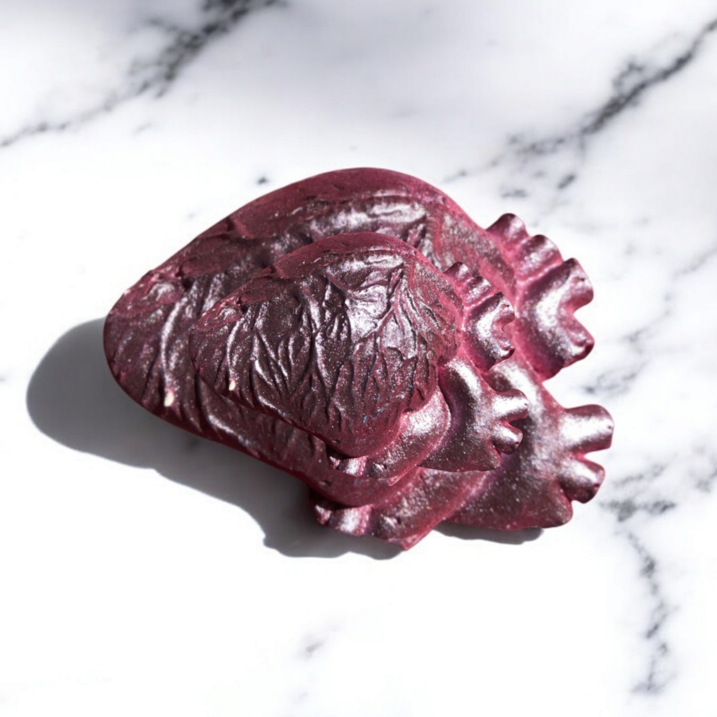 Anatomical Heart Magnets