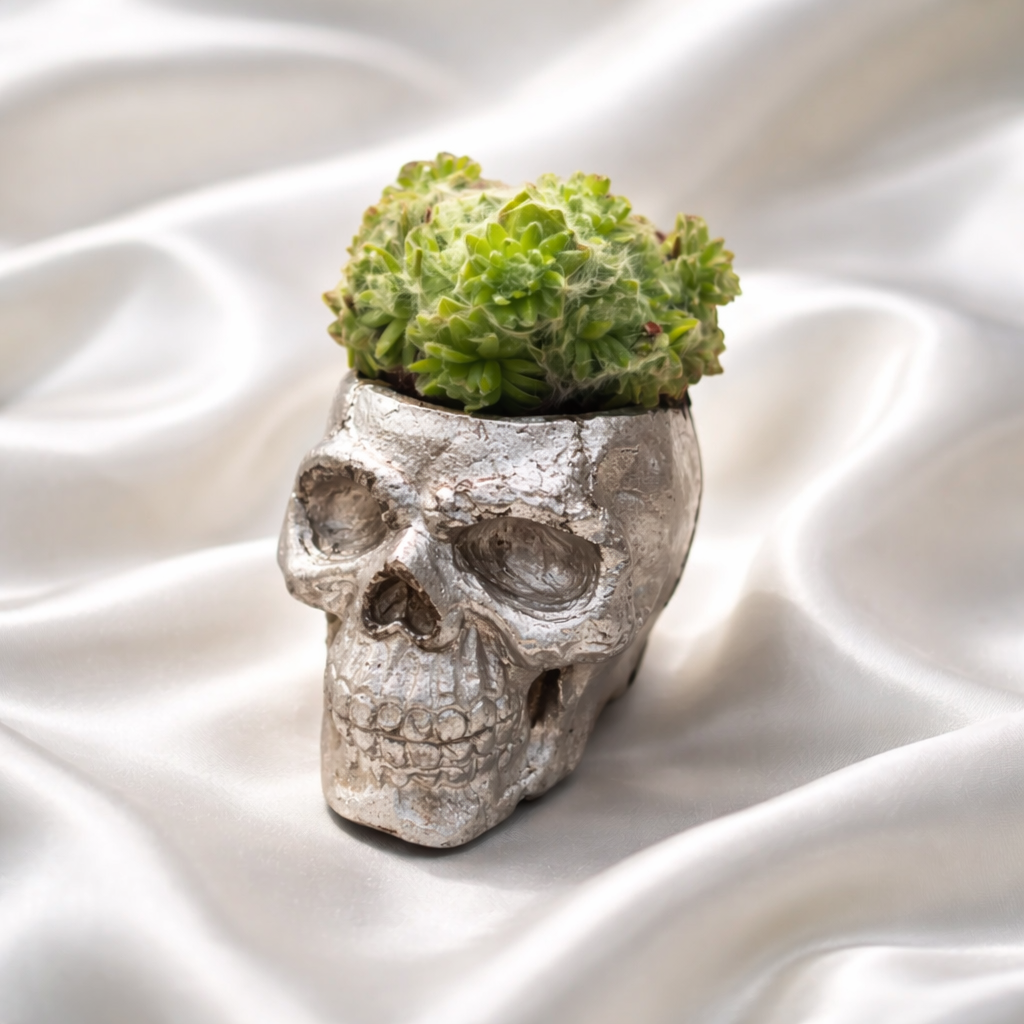 Painted Skull Planter