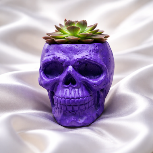 Painted Skull Planter