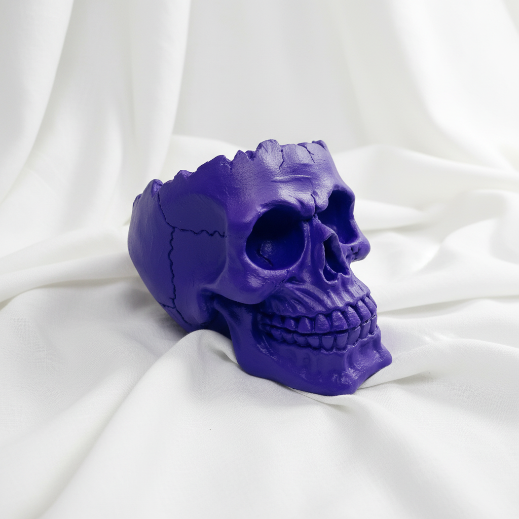 Decorative Skull Shaped Brush or Pen holders