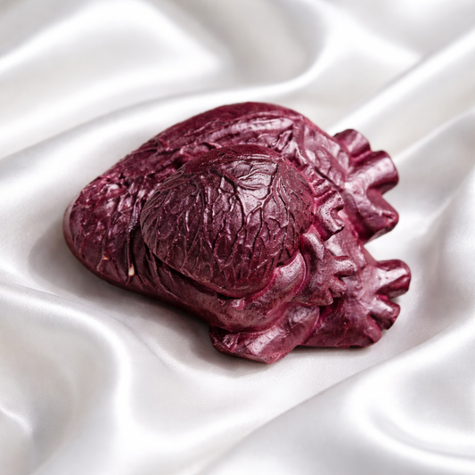 Anatomical Heart Magnets